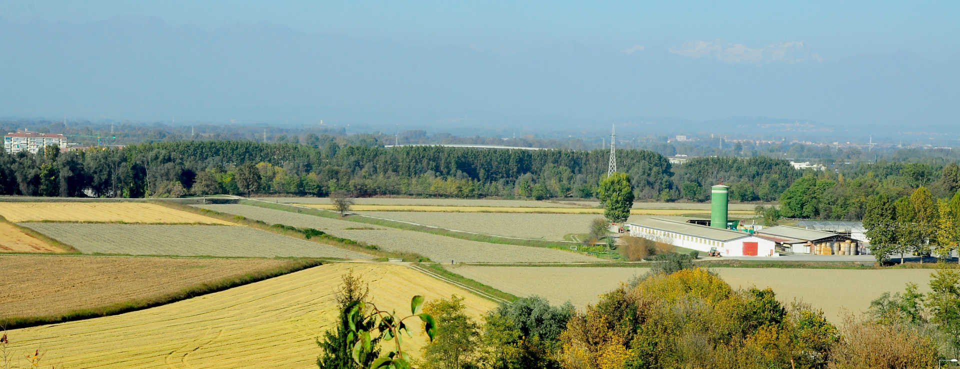 produzione riso torino