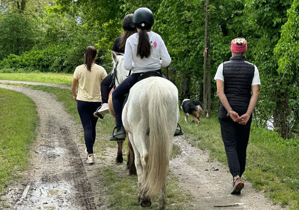passeggiata coi pony in risaia